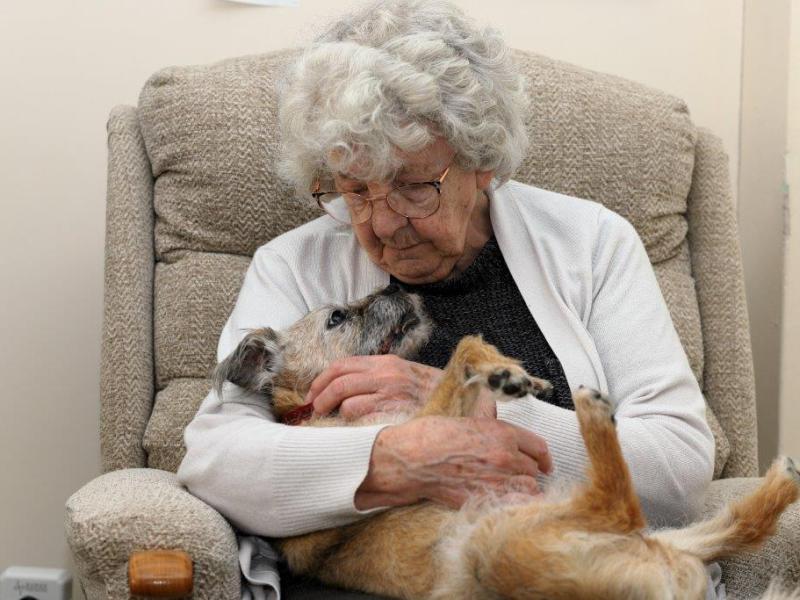 The Cinnamon Trust&nbsp;Charity